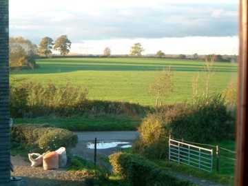 Bedroom View